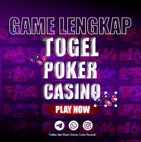 V88Togel Expert
